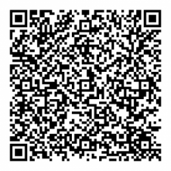 static_qr_code_without_logo-300x300